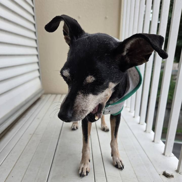 0ebf0400 f59b 4da6 b34e bd23ed171103 1782801681243