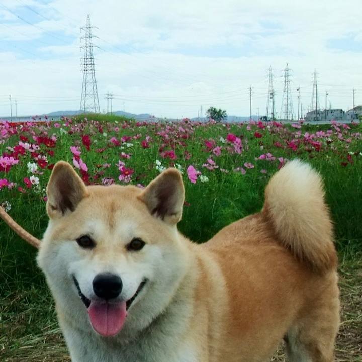 0ebf5d38 d59b 492a b0f2 2fa151902914 1760538019062