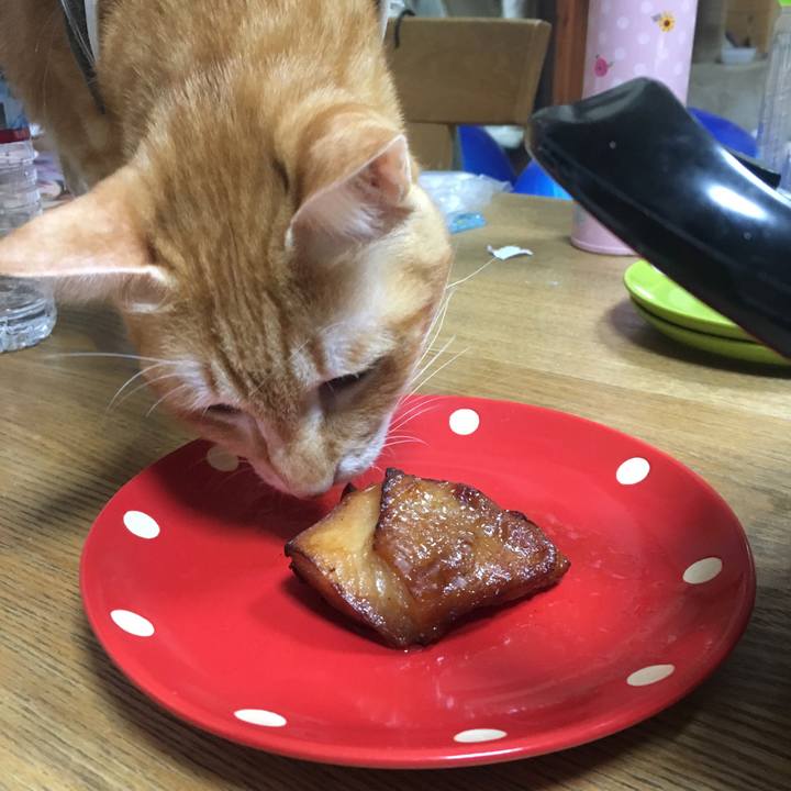 0ebf7fe8 a1bb 4d23 bd8c 87621469b24f 1537274076276