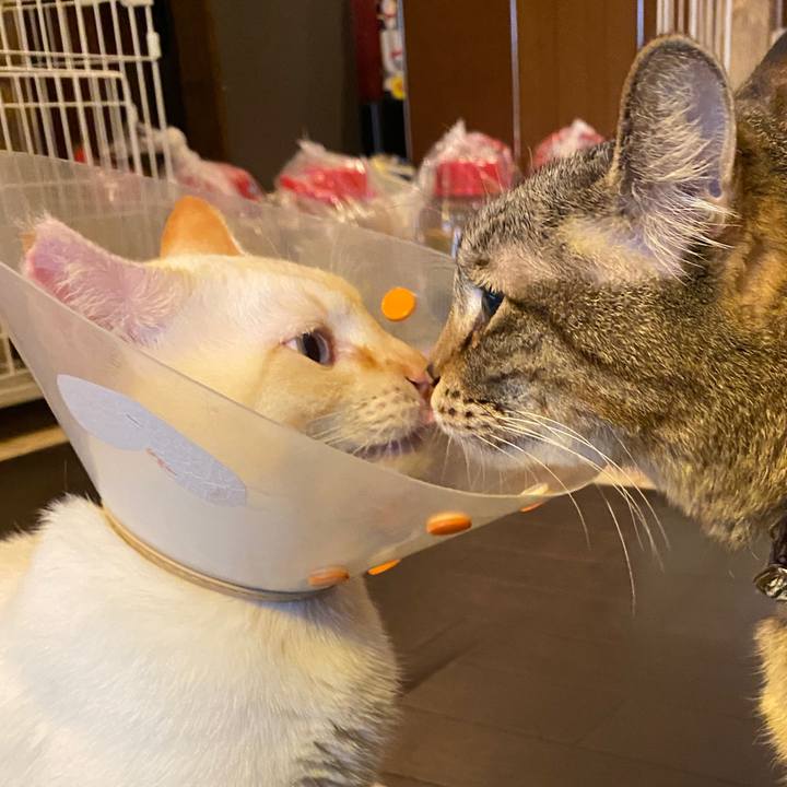 0ebf9195 1c6d 477f a3a4 08a54da1dce7 1588922906706