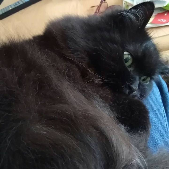 0ebfafe1 3fac 4fd2 96b6 623b1ccf9b98 1522717858711