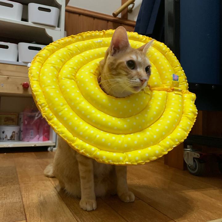 0ebfbeb5 4e22 43e3 9632 fd747e559de3 1566993750842