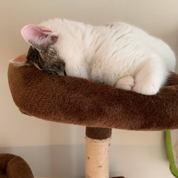 0ebfbefe 1420 49fa a403 0ef5da81c745 1613615174553