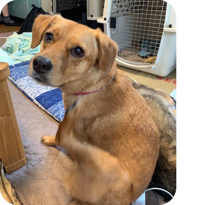 0ebfd014 efc8 4cd5 b350 c17914b0d226 1567253839717