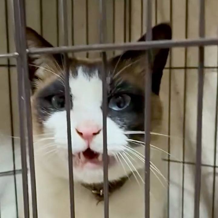 0ebfd5f0 e3a8 4c98 a01a af13c4ea2ded 1744890936630