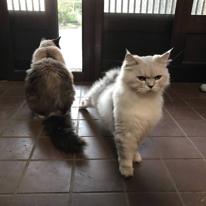 0ec007e4 2848 48a2 ba63 08df3fa35d64 1581574199085