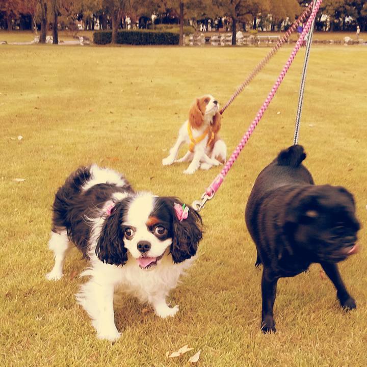 0ec00d8a 5a0d 4f99 a6d6 6de2b0d6eae0 1573391773911