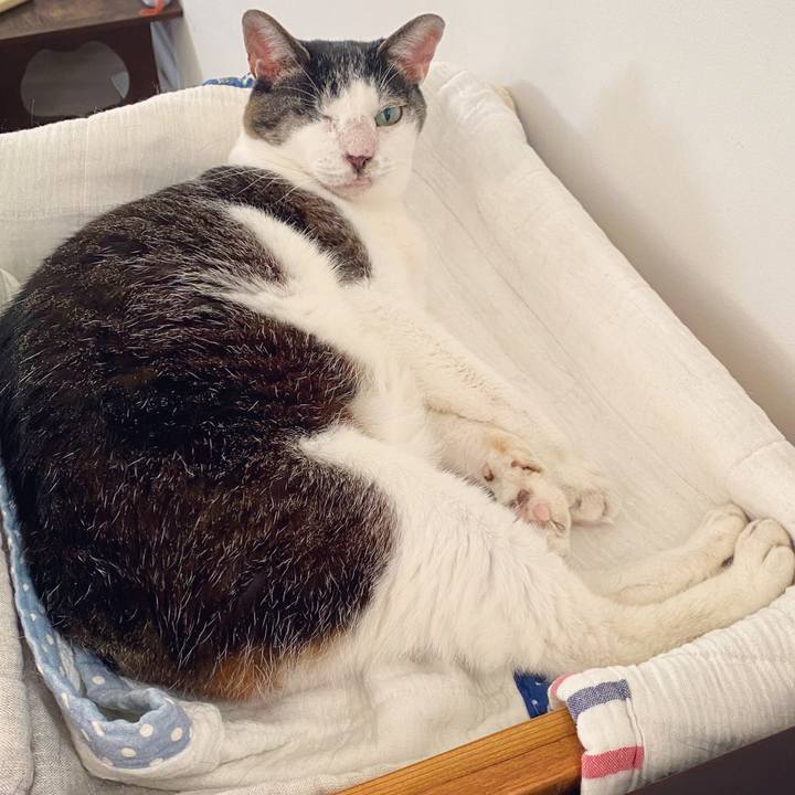 0ec01d64 6bde 4b19 8abf c6d1a87f4efb 1599272735869