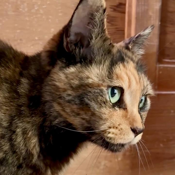 0ec05f7f 2108 4c82 8b0c 20a1826a495f 1748400566357