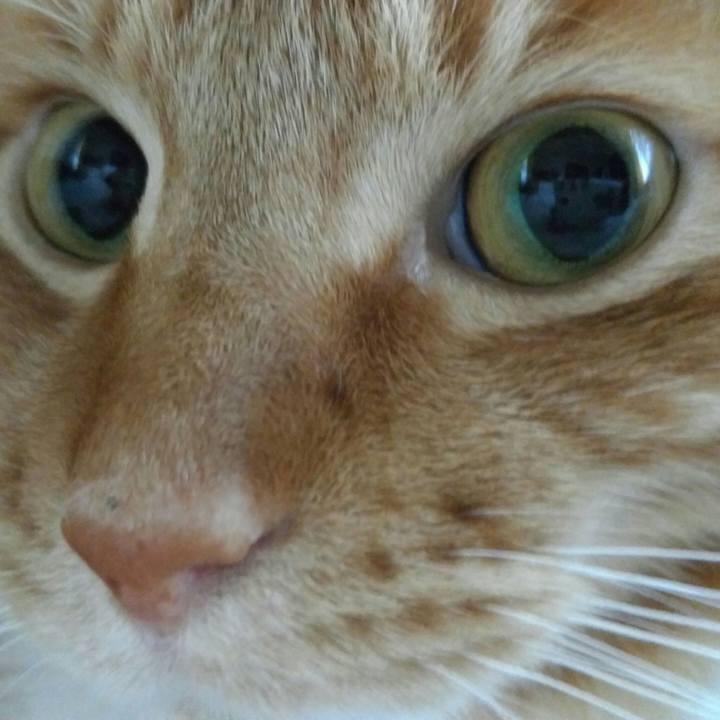 0ec0726b 7f79 46fb aeb0 6cbd1dc716ae 1562386414719