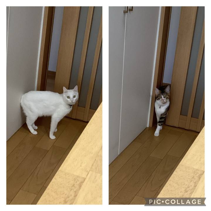 0ec0786f 18cc 4bd5 9076 404c30489458 1650619363079