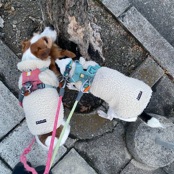 0ec0aabb a699 4039 bbf1 6ea0eb994212 1770559042570