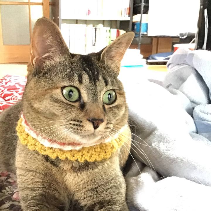 0ec0bf93 4b1e 439e 966c c76fb8557f11 1623636144247