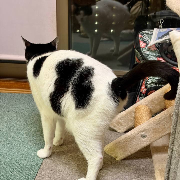 0ec0d1b8 38db 4126 80c5 f13d24bcb6df 1764601036148