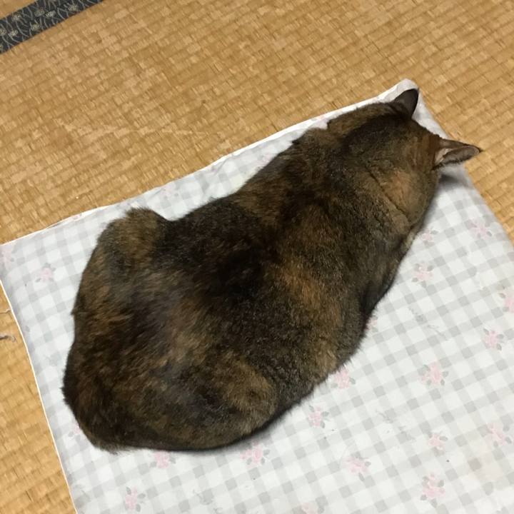 0ec0d655 7b27 4dc8 b220 db730b00cf48 1760421880718