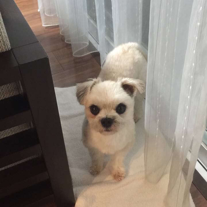 0ec0f9d6 7516 4f05 9e96 1953411efdf8 1535539719556