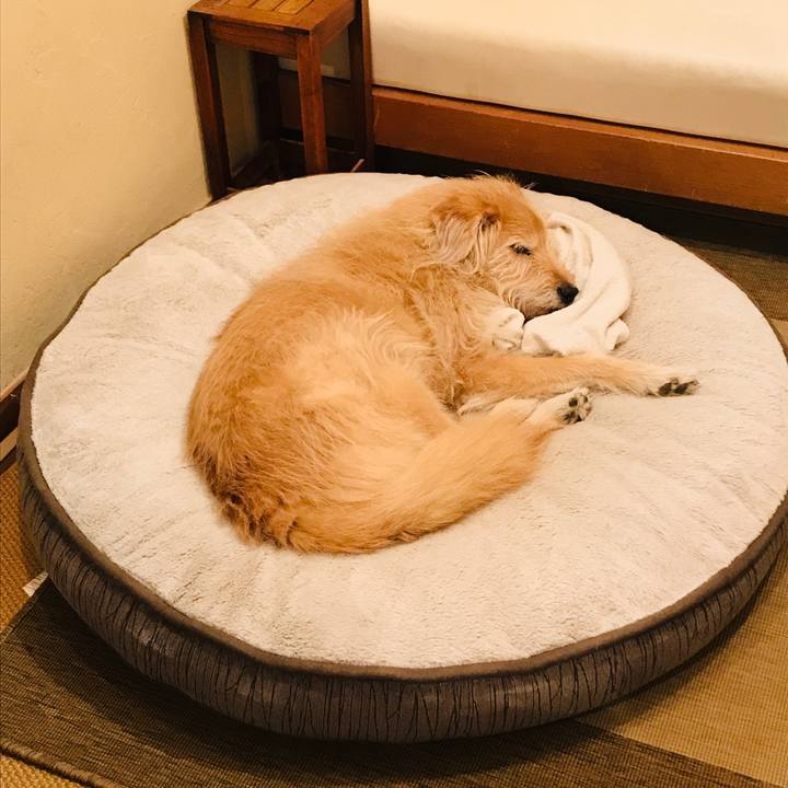 0ec103ab 519c 4adc aed7 57f6c14b7329 1582626229091