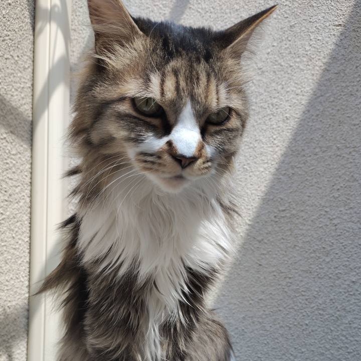 0ec10a31 316b 4fa5 b1f1 49ba2ef706bc 1774883118967