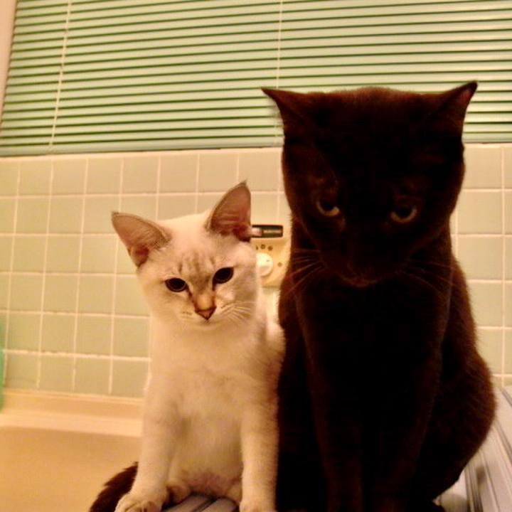 0ec10c80 9de1 47b9 86e5 a68baa709a41 1616156622486