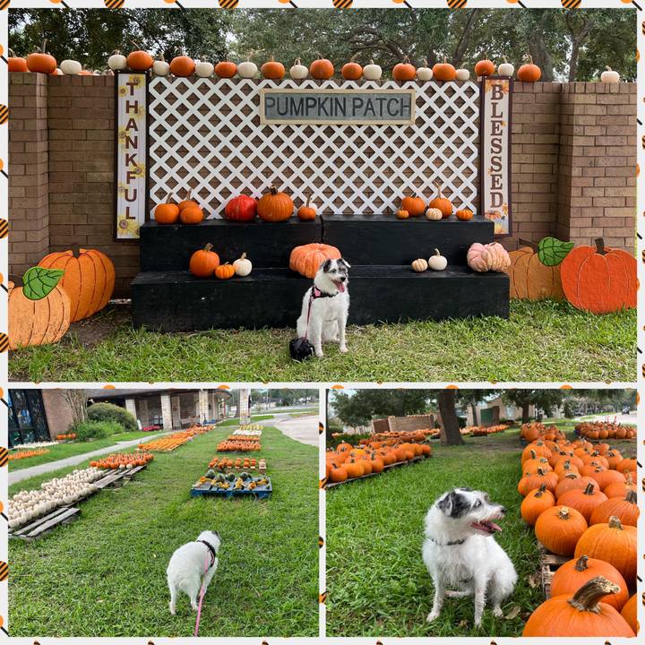 0ec129bd 7dc0 4bbc a696 56ec1299a761 1697113314098