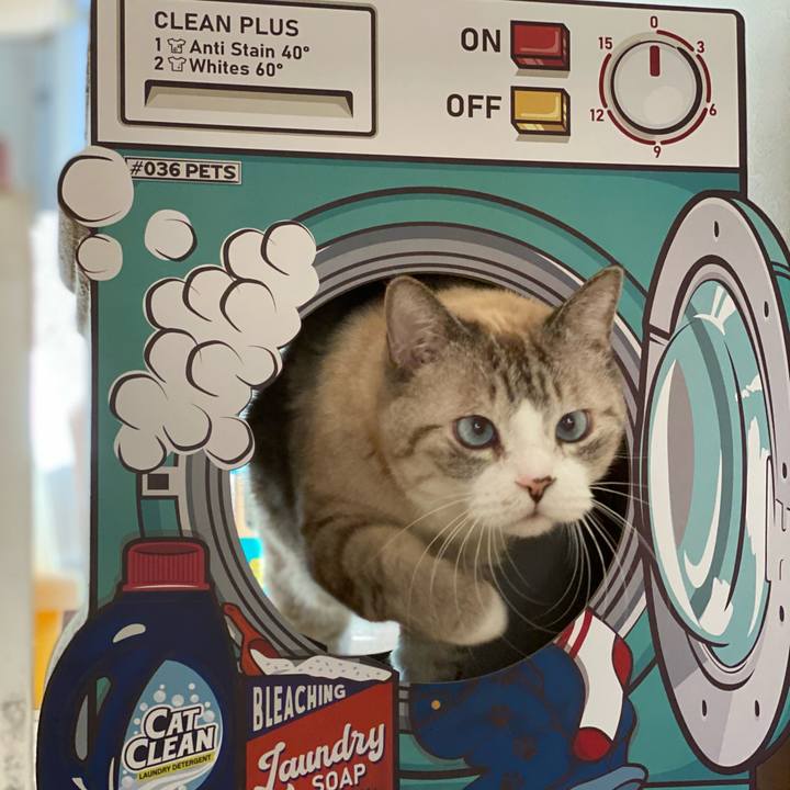 0ec15b8b 8e9f 4201 b200 0a3c4d41b352 1611021454499