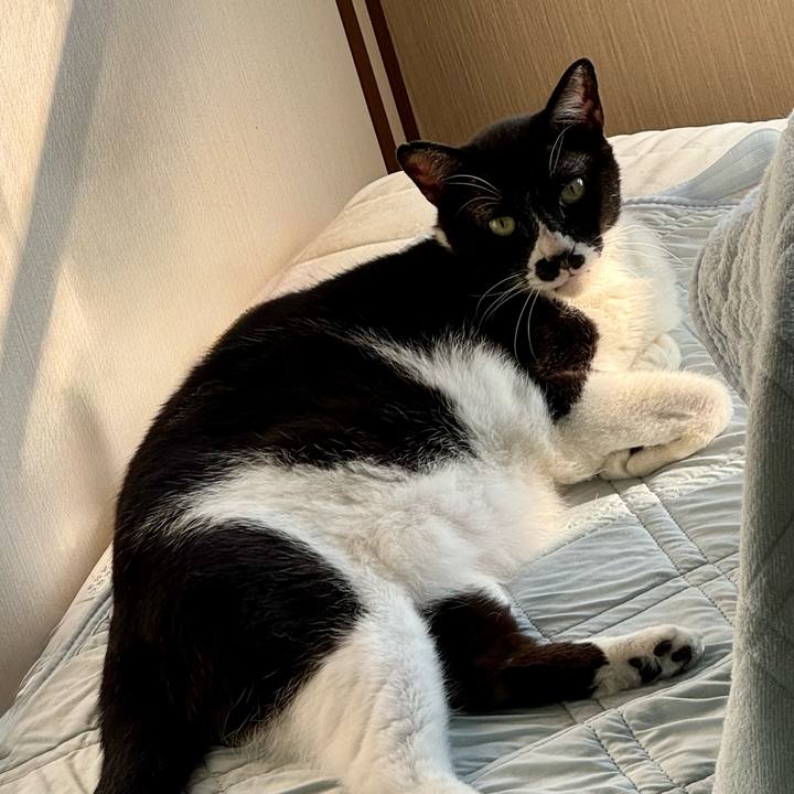 0ec166c3 d234 4b7f a339 51da2730d0ea 1751148148143