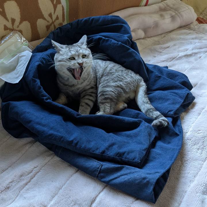 0ec1f1c0 e999 4d9f a5ca af63c5402878 1760415153442