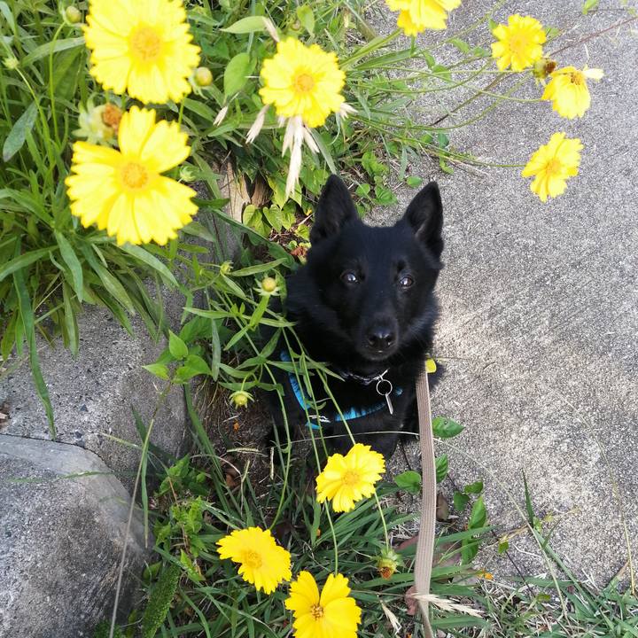 0ec20b41 95d1 433e a460 d1e6c2e37b32 1653858242098