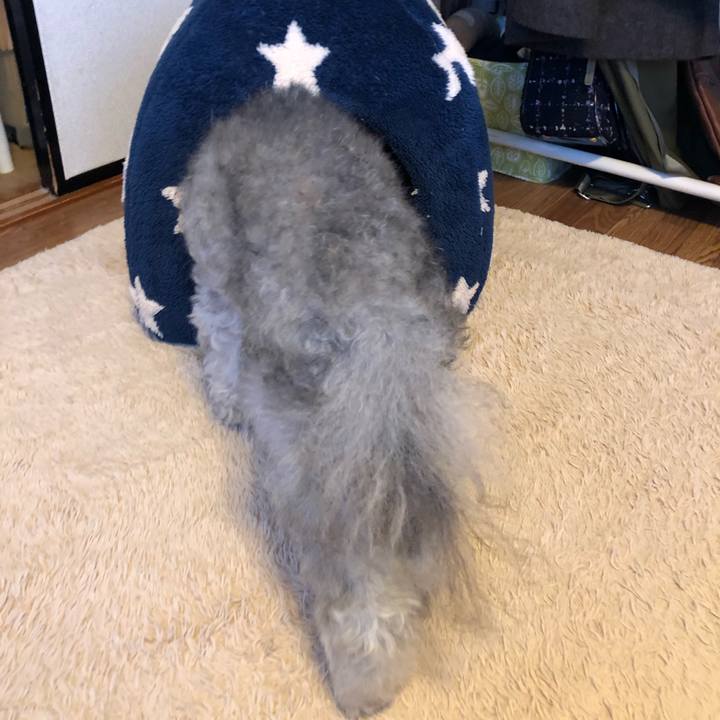 0ec22e87 16b2 4d4c a06a 9ca1ad06b970 1608767504484