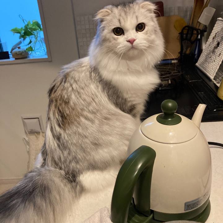 0ec24d5a 683e 4710 8a24 da9fce872c65 1604627011202