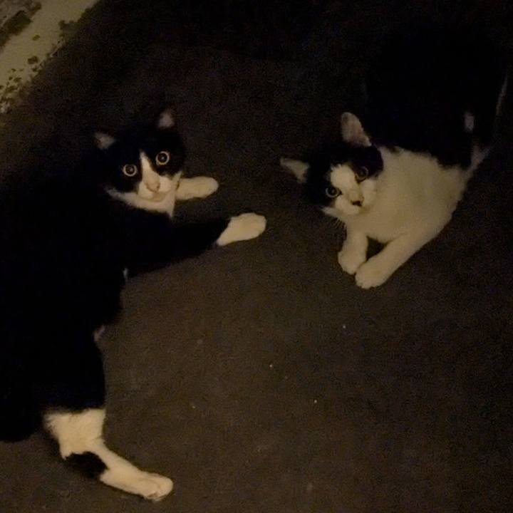 0ec27e89 8747 4b46 bdc9 4aafbb2f1c7f 1753631332042