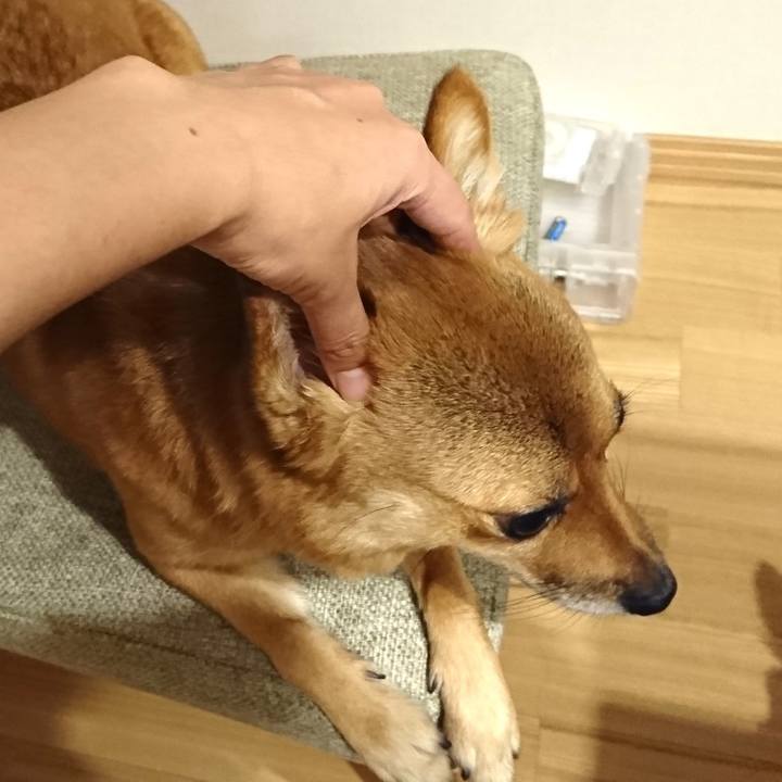 0ec29db2 34ae 43e2 9316 55a363eb4d8f 1536240456182