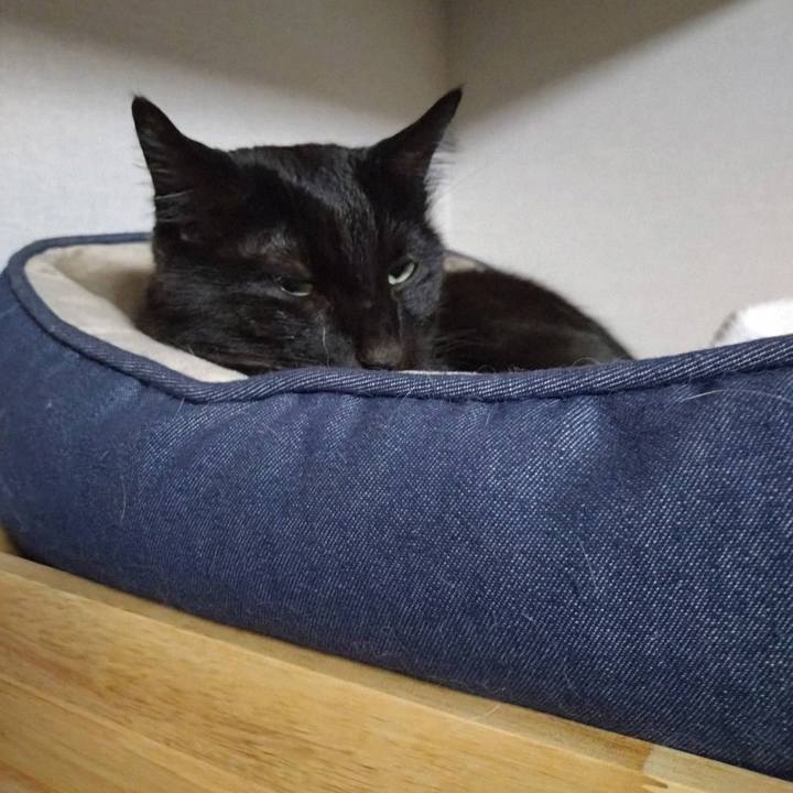 0ec2fae5 fa4f 4cea b86d 5dcdbdd7b0a4 1765532971506