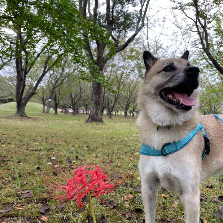 0ec32cfb f276 4bb2 9ab4 126a7a597b9b 1728122249590