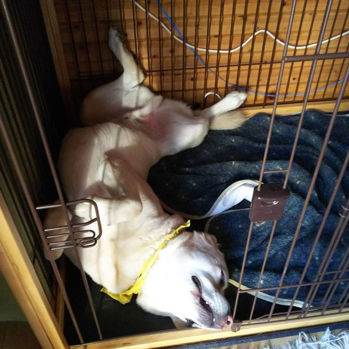 0ec33d0c e6db 4ddb b7a4 864ebf8d5e6f 1581920793328