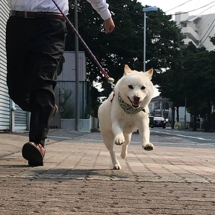 0ec3433f 9bc8 4a45 934b 5e94c52e2065 1533256959260