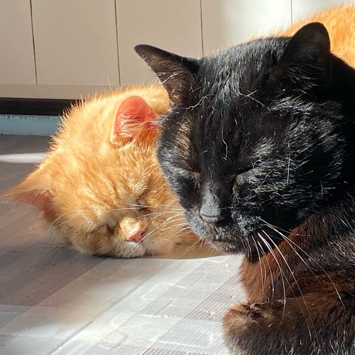 0ec3909d fa58 433d a70e f050f9da8da3 1641344861513