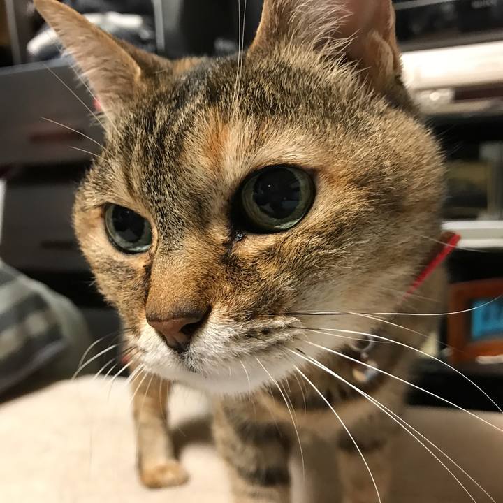 0ec39a1a 8b57 4640 83aa 5e3c40aa24c0 1524658311330