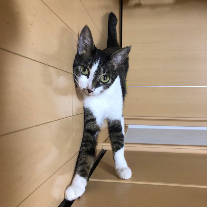 0ec39b02 f3ff 41cd ae91 2a4122abe6f8 1597782207963