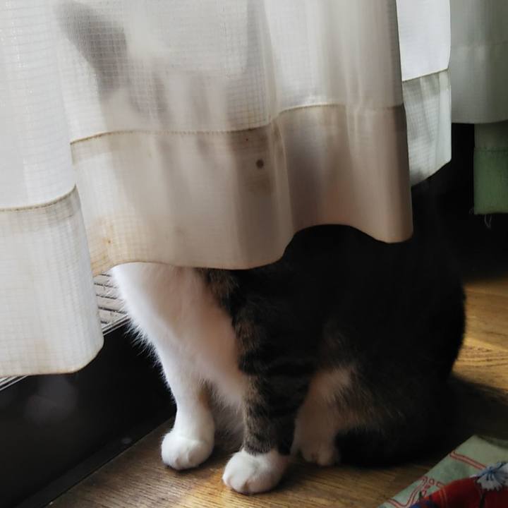 0ec3b604 0f77 4f33 9392 83ad7fca1e15 1613621190604