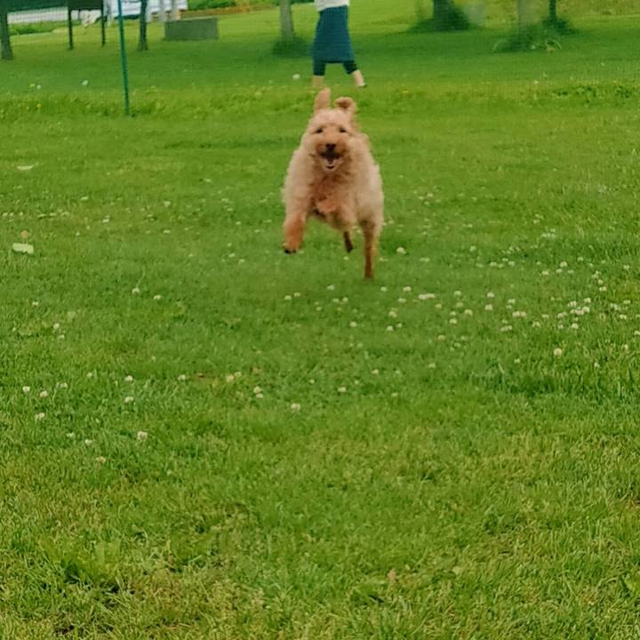 0ec3e04a 5dfd 4ced bdc5 e1f90989968b 1592517621591