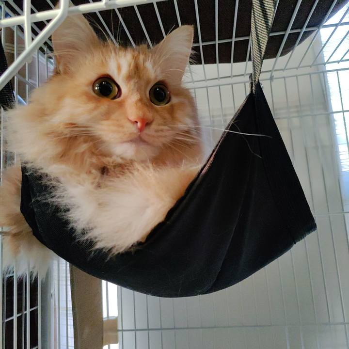 0ec3ff15 f4bb 44f2 b08b 7fc4031b43c8 1683756953032