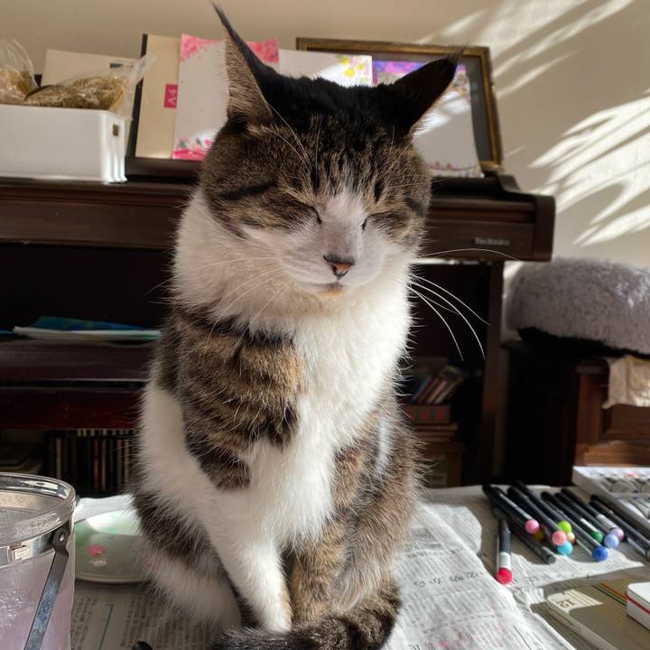 0ec44472 ee07 4f34 8ba2 4840564229af 1640844835611