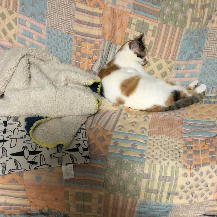 0ec449ba 9c6f 4ca3 8087 1078e18d21f8 1585393790446