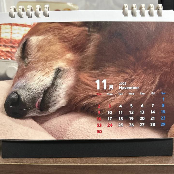 0ec468bd 7fb1 4e56 ae43 7bab8412f8dd 1761991053803