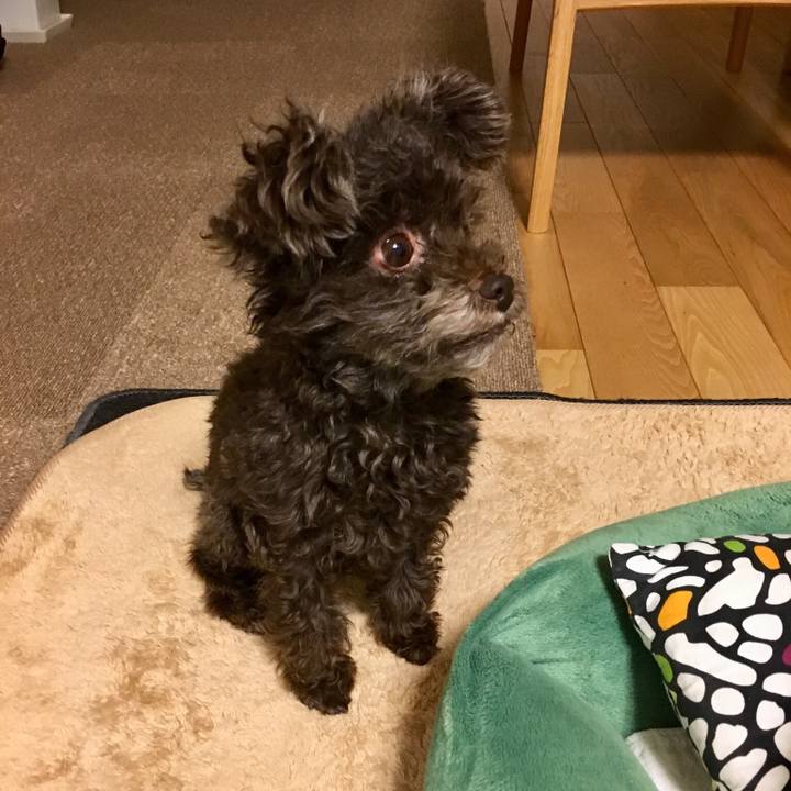 0ec46965 3ad5 4c03 8105 1921e24b4533 1516439420796