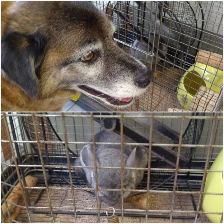 0ec46a8d 978f 4791 9145 9e05e3d90474 1561713852218