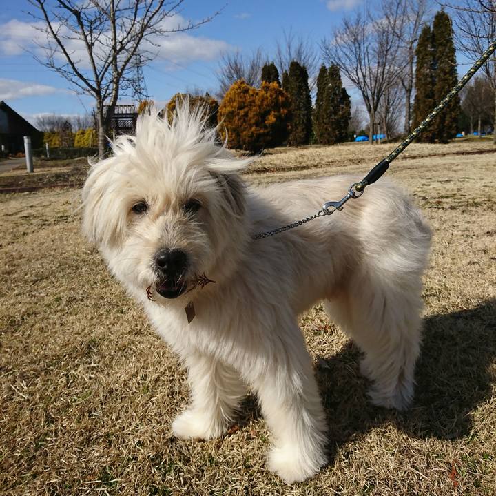 0ec49037 45d8 4446 9051 61ce784c2a45 1582270484421