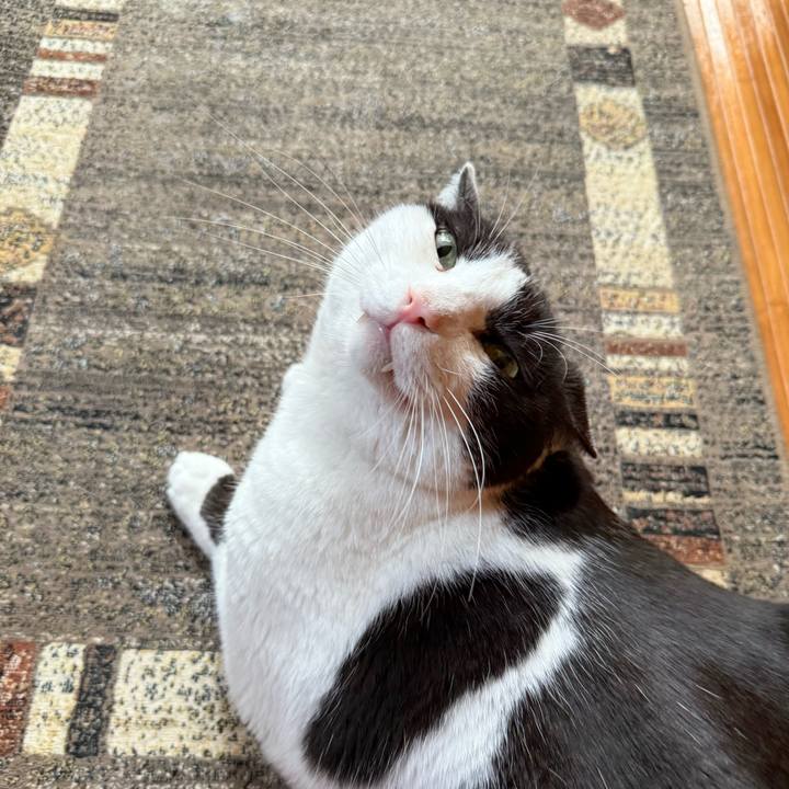 0ec4a329 c504 450e 8d54 2a9922bb30a7 1746064321516