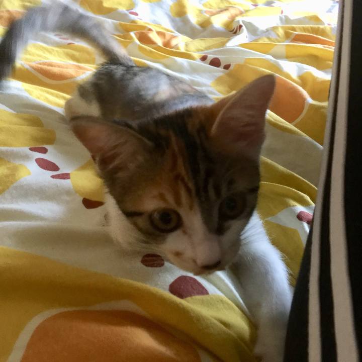 0ec4ab13 6dd6 4e92 bcd8 544bcd8f3bc9 1633244366451